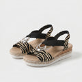 Klasická Zebra